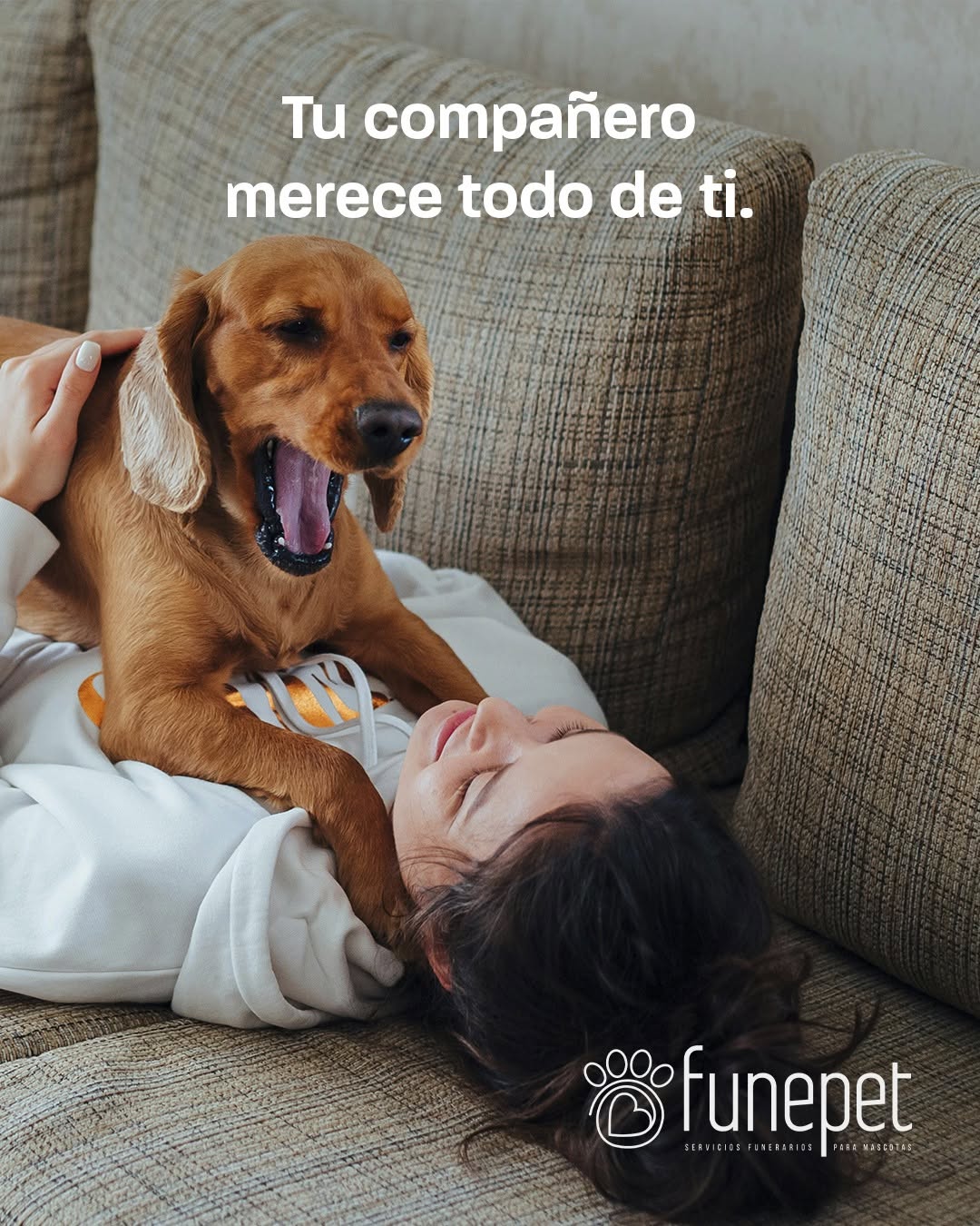 Compañero de vida Funepet